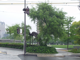 Surviving Willow Tree about 1 mile from ground zero.