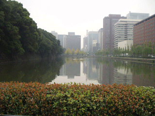 Reflecting pool in Tokyo, near the Imperial Palace.
