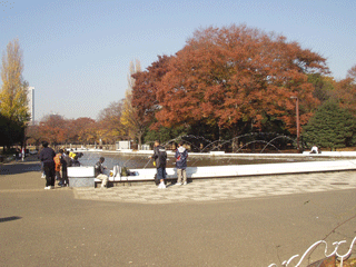 Tokyo: Autumn colors in December 2004 in Yoyogi Park.
